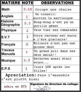 bulletin